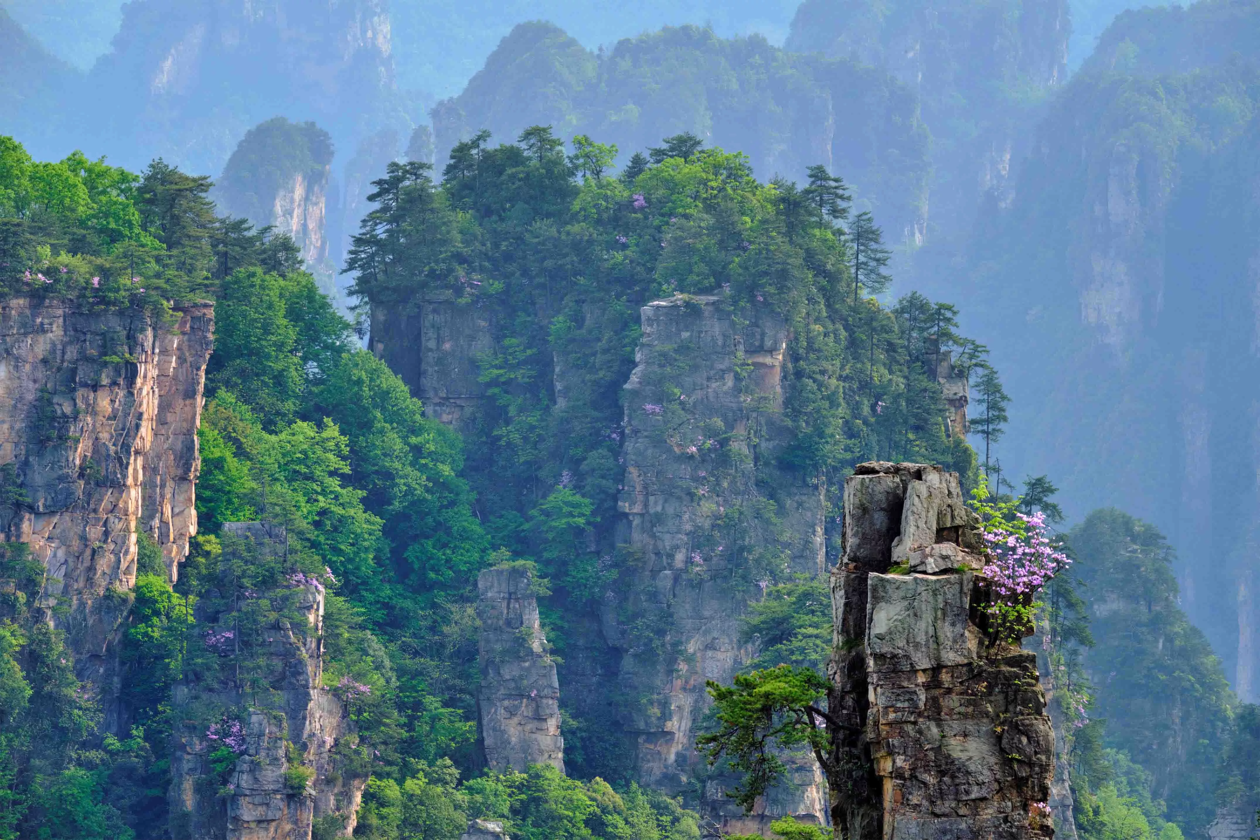旅游景区